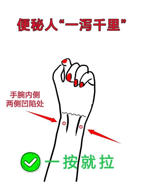 如何高效使用中指通官网：新手实用指南