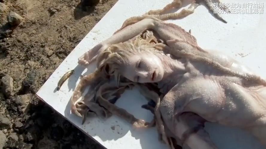 探索木里人鱼官网：绅士游戏世界的瑰丽之旅